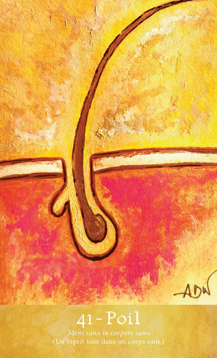 Coffret Les secrets de Cassandre