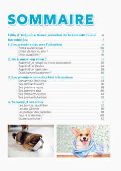 Bien dans ses pattes