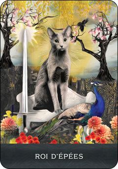 Coffret Le Tarot des chats mystérieux