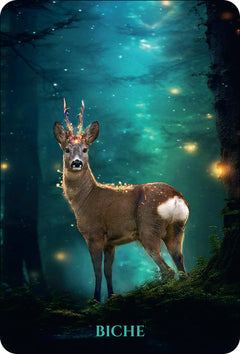 L'Oracle des Animaux de Lumière