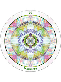 L'oracle des mandalas sacrés