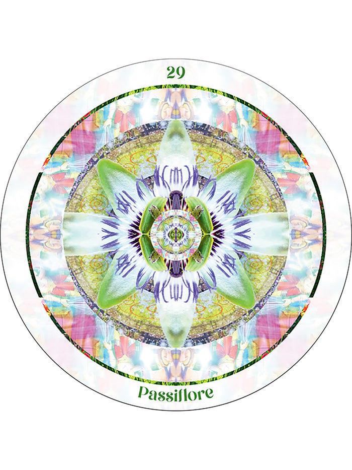 L'oracle des mandalas sacrés