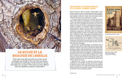 La ruche basse consommation d'énergie - Une révolution apicole