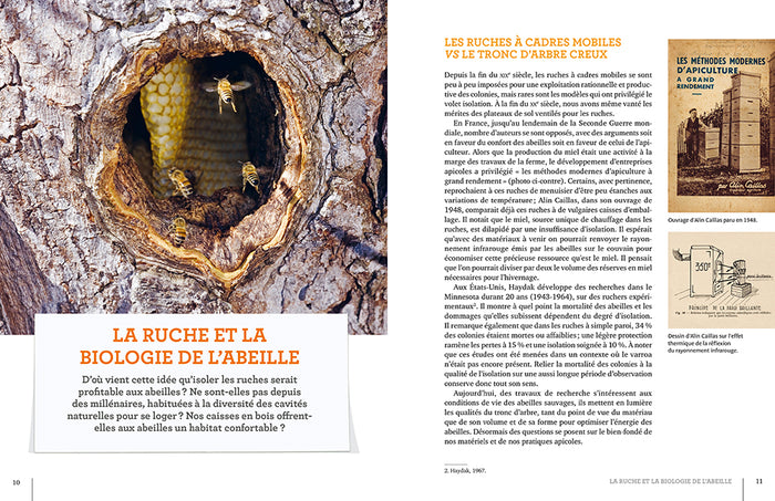 La ruche basse consommation d'énergie - Une révolution apicole