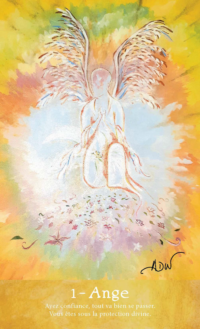 Coffret Les secrets de Cassandre