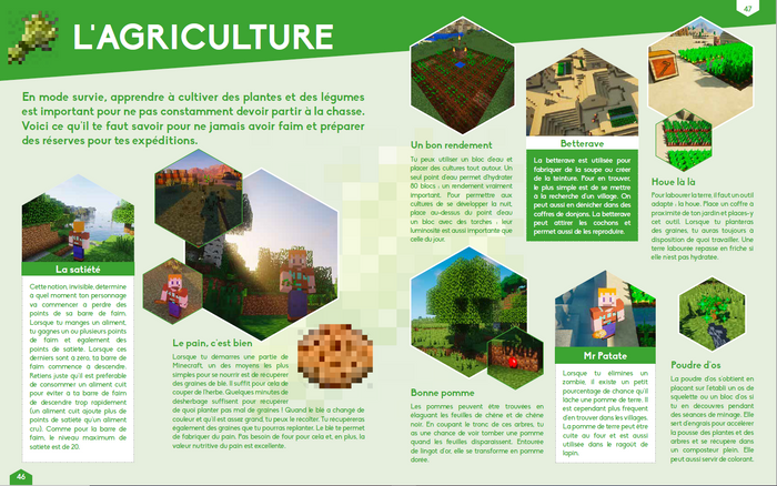 Le grand livre des trucs et astuces