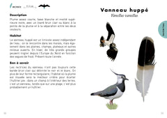 Le Petit guide des plumes - 70 trouvailles à identifier