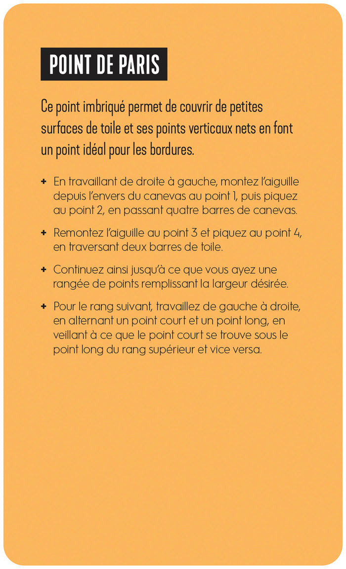 Broderie sur canevas - 50 cartes de points contemporains