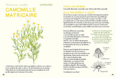 Mini-guide des plantes qui soignent