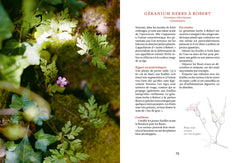 Cuisiner les plantes sauvages des chemins