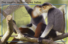 Les singes