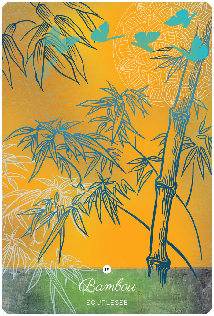 L'Oracle de Pachamama - Notre Terre-Mère