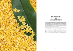L'Osmanthus en parfumerie