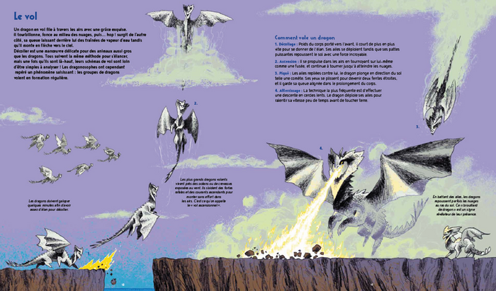 La vie secrète des dragons