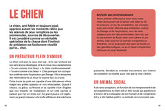 Copains comme chien & chat - Réussir la cohabitation