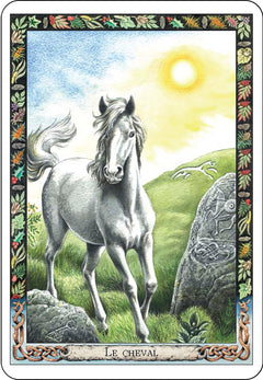 L'oracle des druides