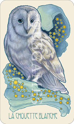 Visions oniriques - Cartes oracle