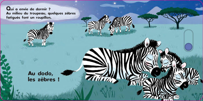 Au dodo - Les animaux sauvages