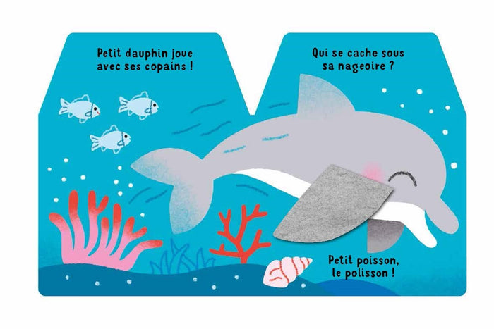 Cache-cache petit dauphin