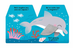 Cache cache petit dauphin