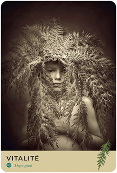 Oracle de la nature sacrée