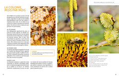 Installer un premier rucher