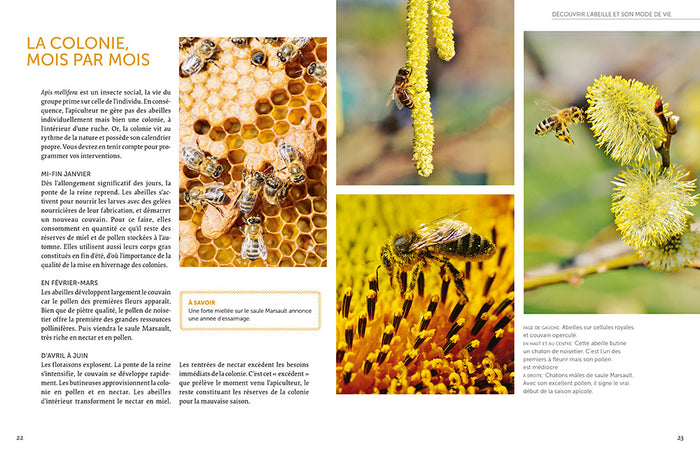 Installer un premier rucher