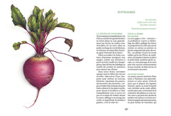 Se nourrir de son jardin - Une année au potager permaculture