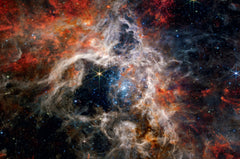 Univers