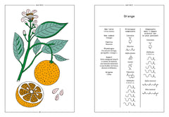 L'Orange en parfumerie