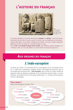 Dictionnaire Le Robert collège et son dictionnaire en ligne