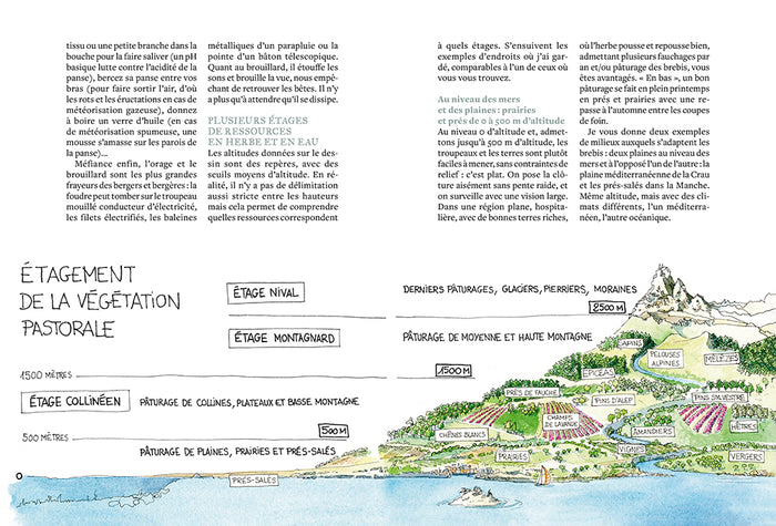 Elever des brebis et des moutons