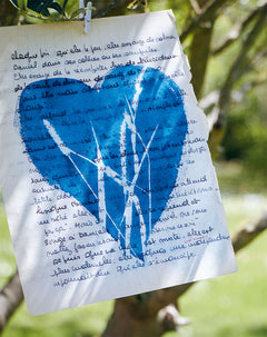 L'art du cyanotype