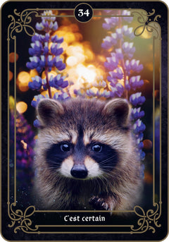 La réponse est là - Cartes oracle