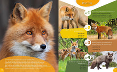 Le renard