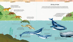 La vie secrète des baleines