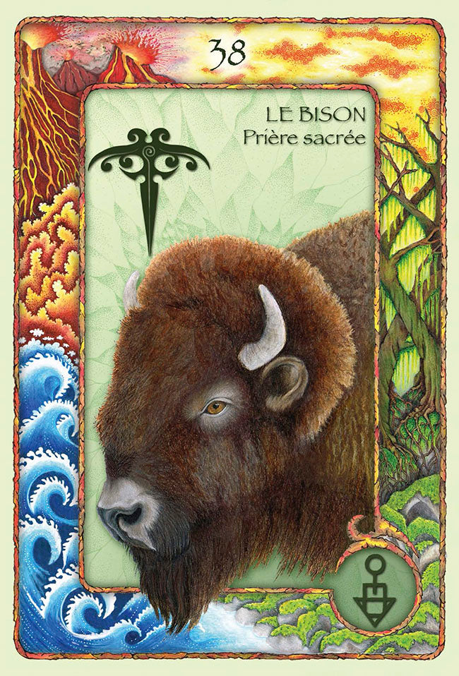 Messages sacrés des animaux du monde