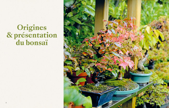 L'art du bonsaï - Guide pratique et philosophique