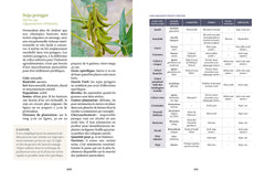 Produire des légumes en hiver - même sans abri