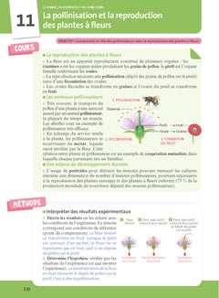 Mon année de 6e