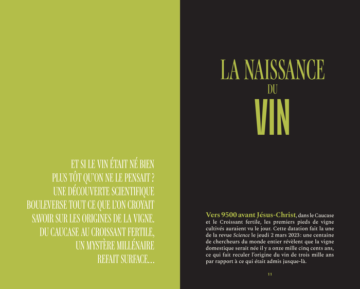 Le vin - Un peu, beaucoup, passionnément...
