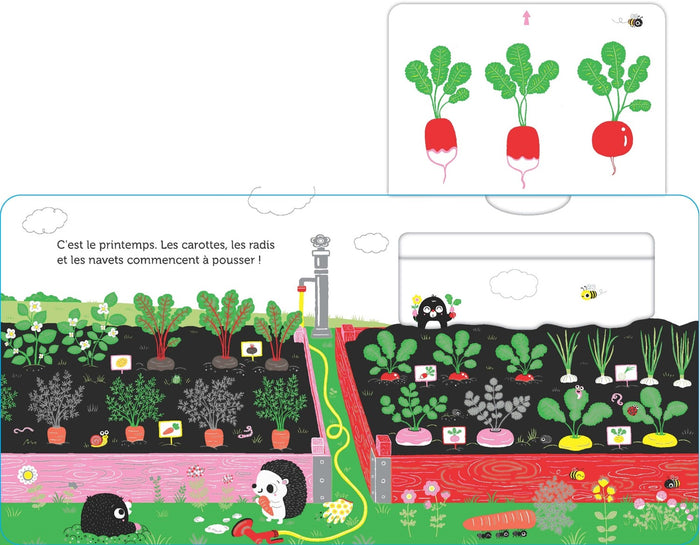 Promenade au potager