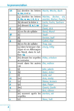 Maîtriser l'allemand - Un guide tout en 1 : grammaire, difficultés, conjugaison