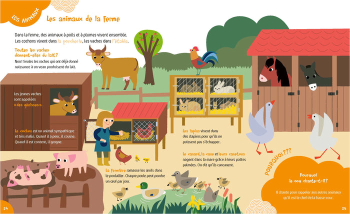 Le livre de découvertes de mes 4 ans