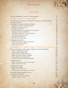 Mon grimoire de rituels & astuces de sorcière