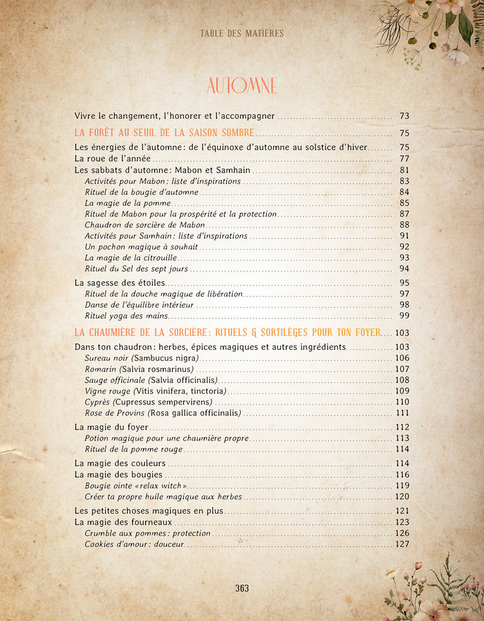 Mon grimoire de rituels & astuces de sorcière