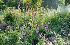 Un jardin comme un parfum