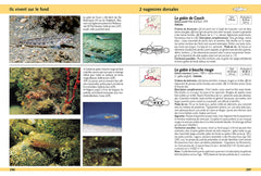 Guide d'identification des poissons marins - Europe et Méditerranée