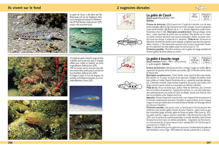 Guide d'identification des poissons marins - Europe et Méditerranée