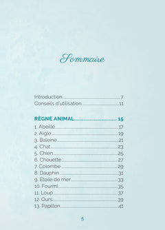 L'Oracle de Pachamama - Notre Terre-Mère